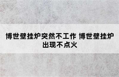 博世壁挂炉突然不工作 博世壁挂炉出现不点火